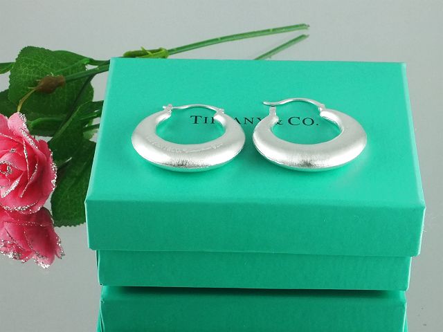 tiffany Earrings-104